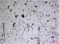 登錄號:A00004588藏品圖，第2張