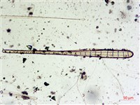 登錄號:A00004589藏品圖，第4張