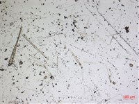登錄號:A00004591藏品圖，第2張