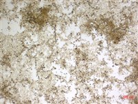 登錄號:A00004593藏品圖，第2張