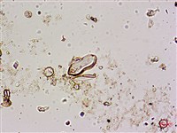 登錄號:A00004593藏品圖，第3張