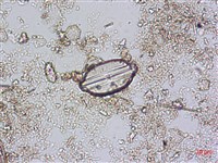 登錄號:A00004594藏品圖，第3張