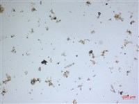 登錄號:A00004595藏品圖，第2張