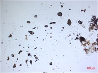 館號:A00004596藏品圖，第2張