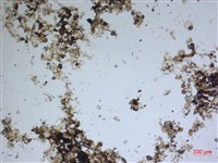 登錄號:A00004597藏品圖，第2張