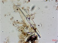 登錄號:A00004597藏品圖，第4張