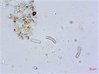 登錄號:A00004597藏品圖，第5張