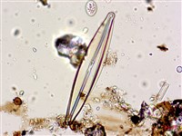 登錄號:A00004598藏品圖，第5張