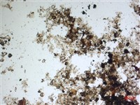 登錄號:A00004599藏品圖，第2張