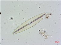 登錄號:A00004600藏品圖，第8張