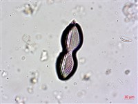登錄號:A00004601藏品圖，第4張