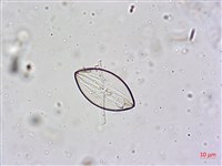 登錄號:A00004601藏品圖，第5張