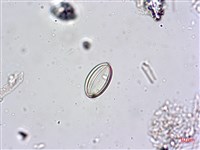 登錄號:A00004601藏品圖，第6張