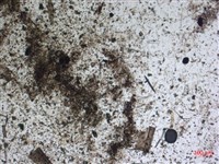 登錄號:A00004602藏品圖，第2張