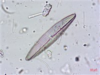 登錄號:A00004602藏品圖，第5張
