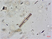 登錄號:A00004602藏品圖，第6張