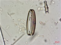 登錄號:A00004602藏品圖，第7張