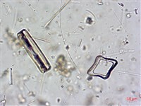 登錄號:A00004602藏品圖，第10張