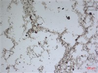登錄號:A00004603藏品圖，第2張