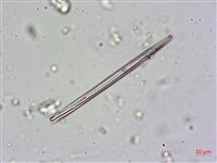 登錄號:A00004603藏品圖，第4張