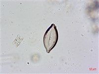 登錄號:A00004603藏品圖，第6張