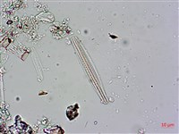 登錄號:A00004603藏品圖，第7張