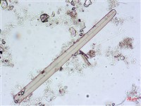 登錄號:A00004603藏品圖，第8張
