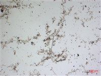 登錄號:A00004604藏品圖，第2張