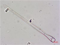 登錄號:A00004604藏品圖，第4張