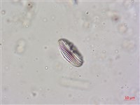 登錄號:A00004604藏品圖，第7張