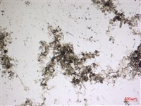 登錄號:A00004605藏品圖，第2張