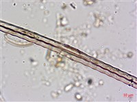 登錄號:A00004605藏品圖，第5張