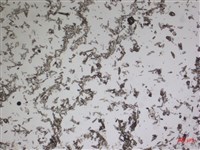 登錄號:A00004606藏品圖，第2張