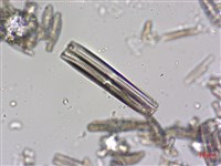 登錄號:A00004606藏品圖，第4張