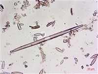 登錄號:A00004606藏品圖，第9張