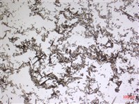 登錄號:A00004608藏品圖，第2張
