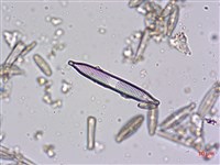 登錄號:A00004608藏品圖，第4張