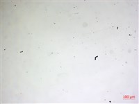 登錄號:A00004609藏品圖，第2張