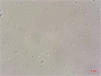 登錄號:A00004610藏品圖，第3張