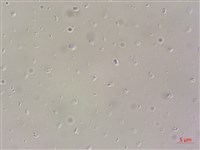 登錄號:A00004610藏品圖，第4張