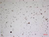 登錄號:A00004611藏品圖，第2張