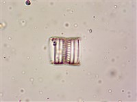 登錄號:A00004611藏品圖，第6張