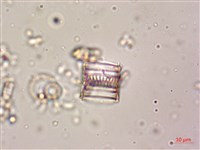 登錄號:A00004611藏品圖，第7張