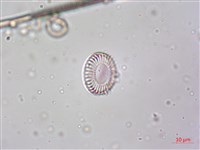 登錄號:A00004612藏品圖，第4張