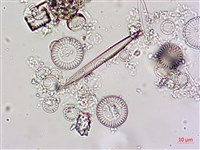 登錄號:A00004612藏品圖，第10張
