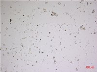 登錄號:A00004613藏品圖，第2張
