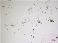 登錄號:A00004616藏品圖，第2張