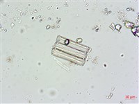 登錄號:A00004616藏品圖，第3張