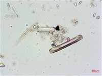 登錄號:A00004616藏品圖，第4張