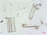 登錄號:A00004616藏品圖，第8張